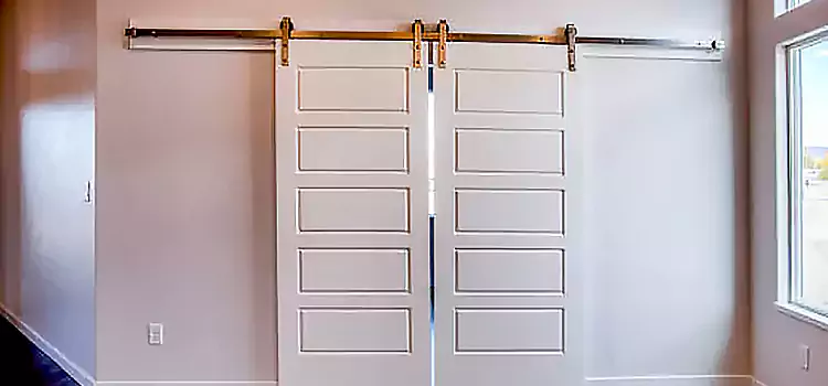 Glass Barn Door with Installation Hardware Kit Waltham