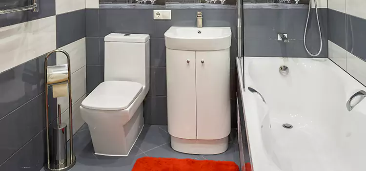 Hansgrohe Shaving Mirror Waltham